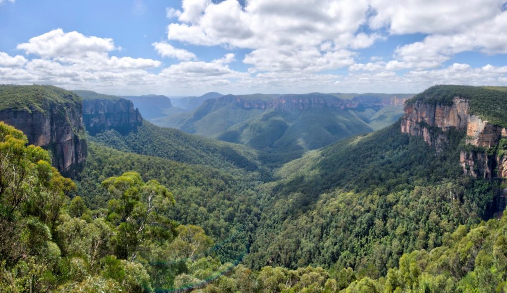 Recovered bushland